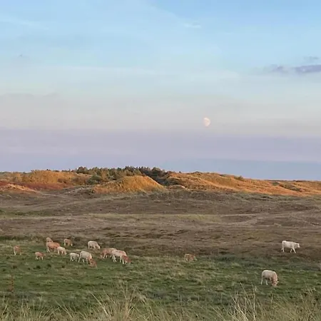 Sint Maartenszee Near Sandy * Sint Maartensvlotbrug