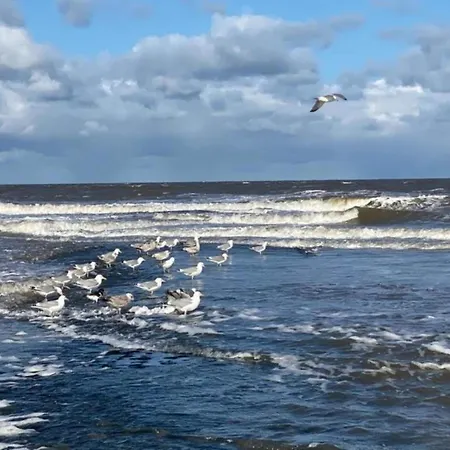Sint Maartenszee Near Sandy *