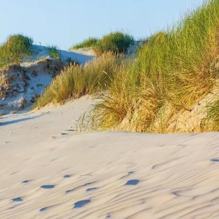 Sint Maartenszee Near Sandy