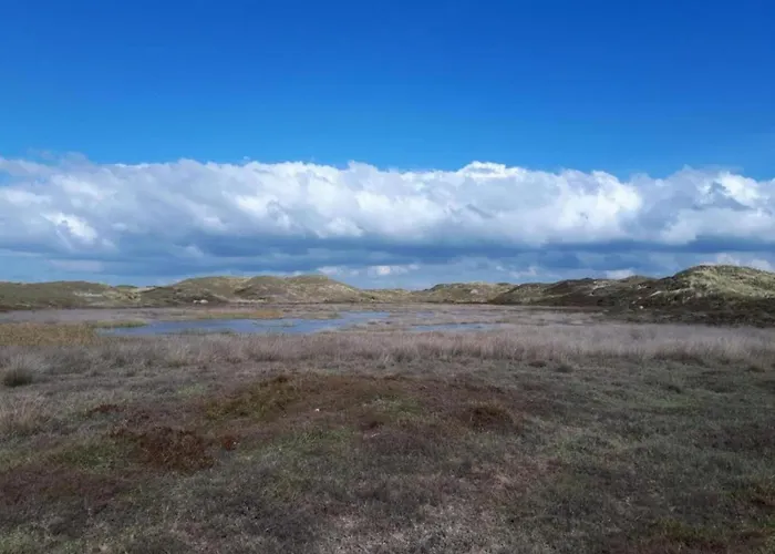 Sint Maartenszee Near Sandy