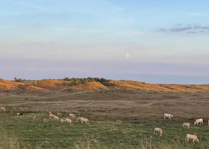 Sint Maartenszee Near Sandy * Sint Maartensvlotbrug