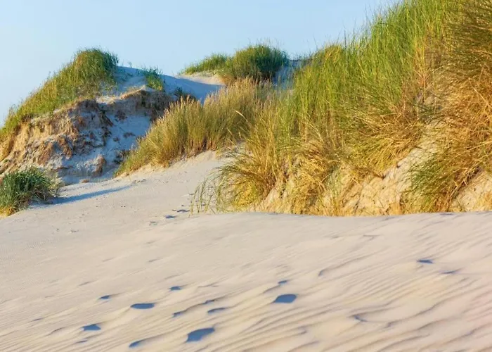 Sint Maartenszee Near Sandy